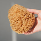 Natural Body Sea Sponge – Biodegradable Body Exfoliator