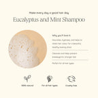 An infographic detailing the benefits of Eucalyptus and Mint Shampoo, with a circular photo of soapy foam.