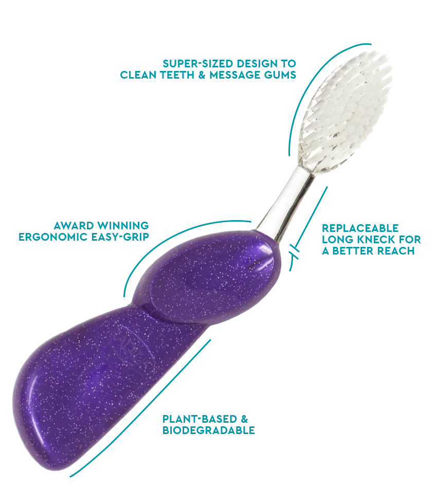 RADIUS Big Brush - Adult Toothbrush with Replaceable Head