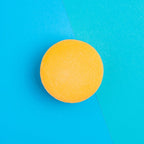 EcoRoots Citrus Fresh Zero Waste Conditioner Bar