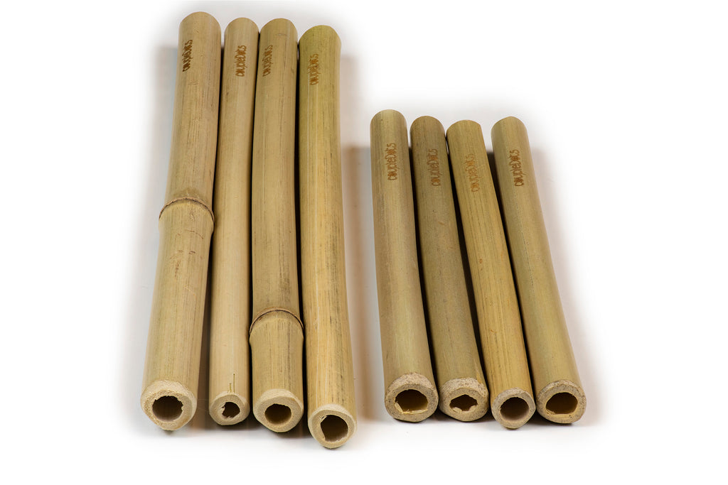 coupleDots Biodegradable Bamboo Drinking Straws