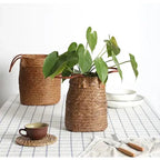 boho woven seagrass basket with handles