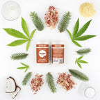 Humble All Natural CBD deodorant - pine & cedarwood with hemp extract