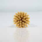 bamboo brush replacement head with natural bristles